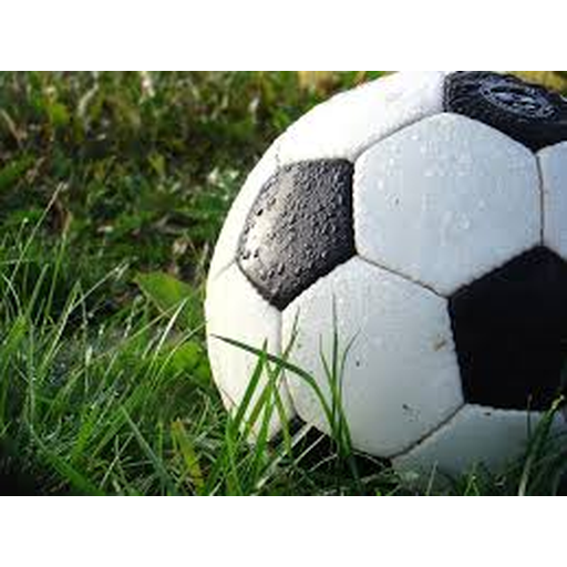 2026世界杯官网地址平台(FIFA World Cup 2026) - 官方网站