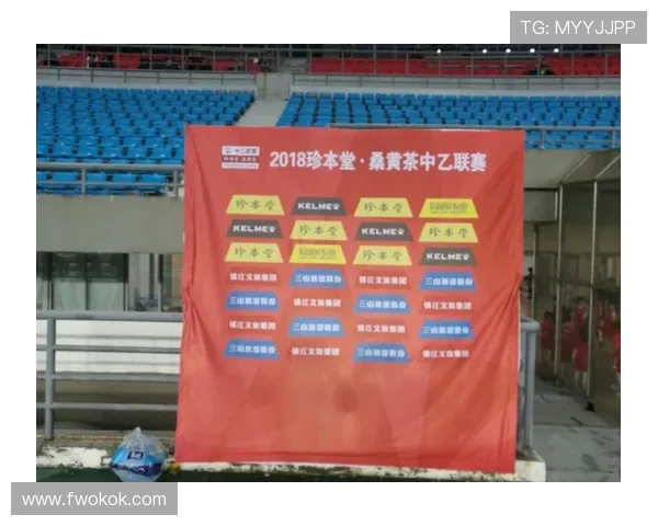 南京足球队在联赛中的团队协作表现分析与点评