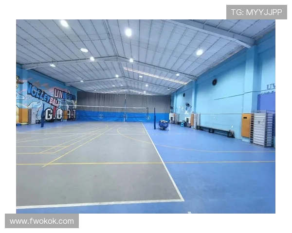 广州排球队实力上升至全国第九名展现强劲竞争力