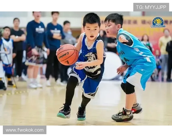 深入分析杭州篮球队阵地战战术特点与执行策略