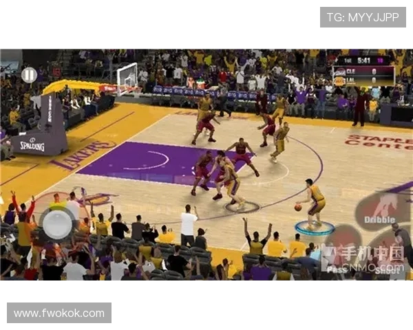 篮球装备选购指南：必备护具推荐助你提升场上表现